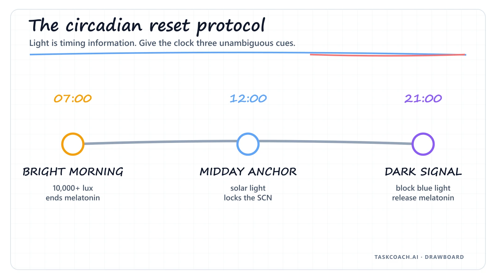 Drawboard timeline for morning, midday, and evening circadian light cues.