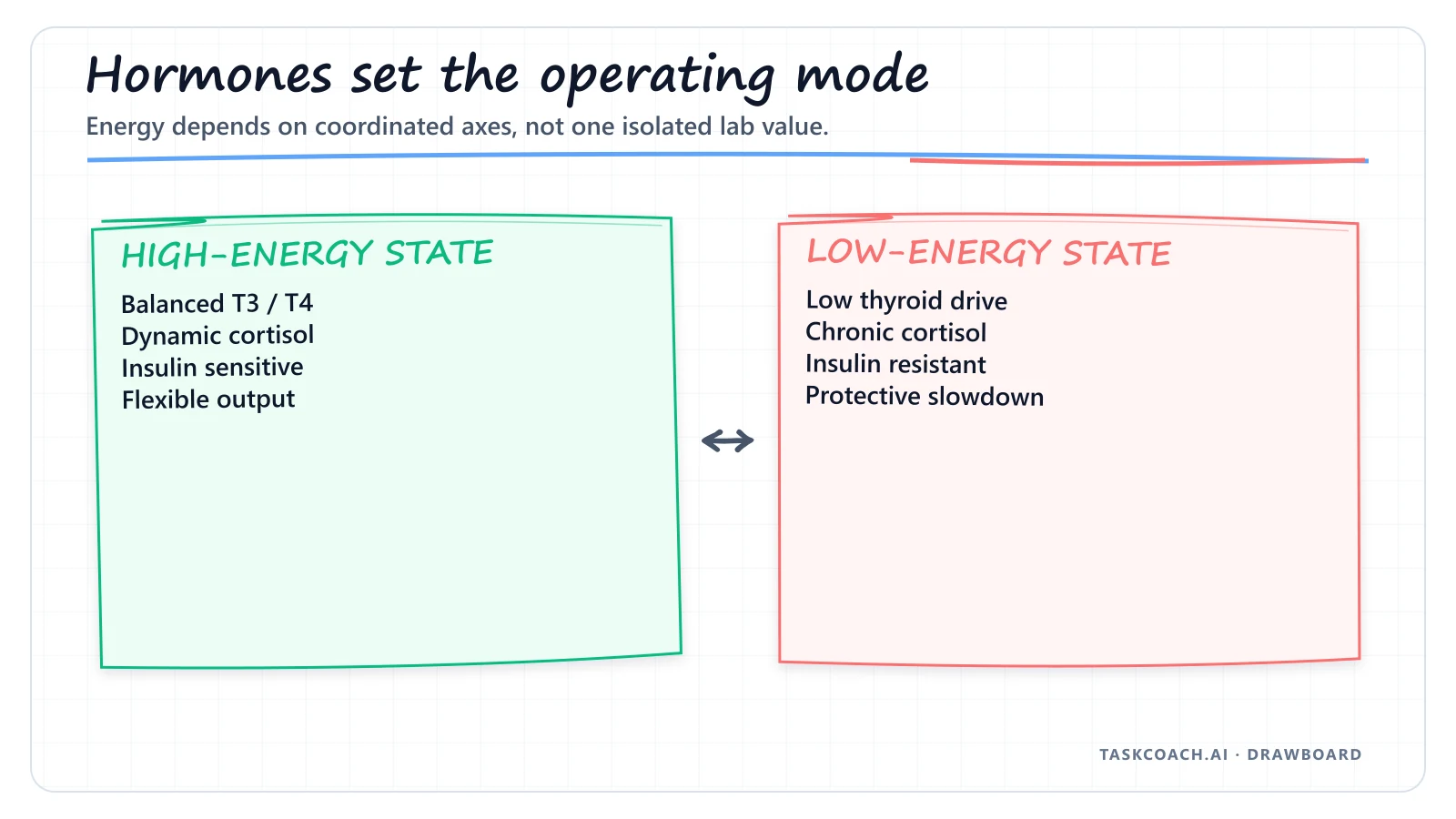 Drawboard comparing high-energy and low-energy hormonal states.