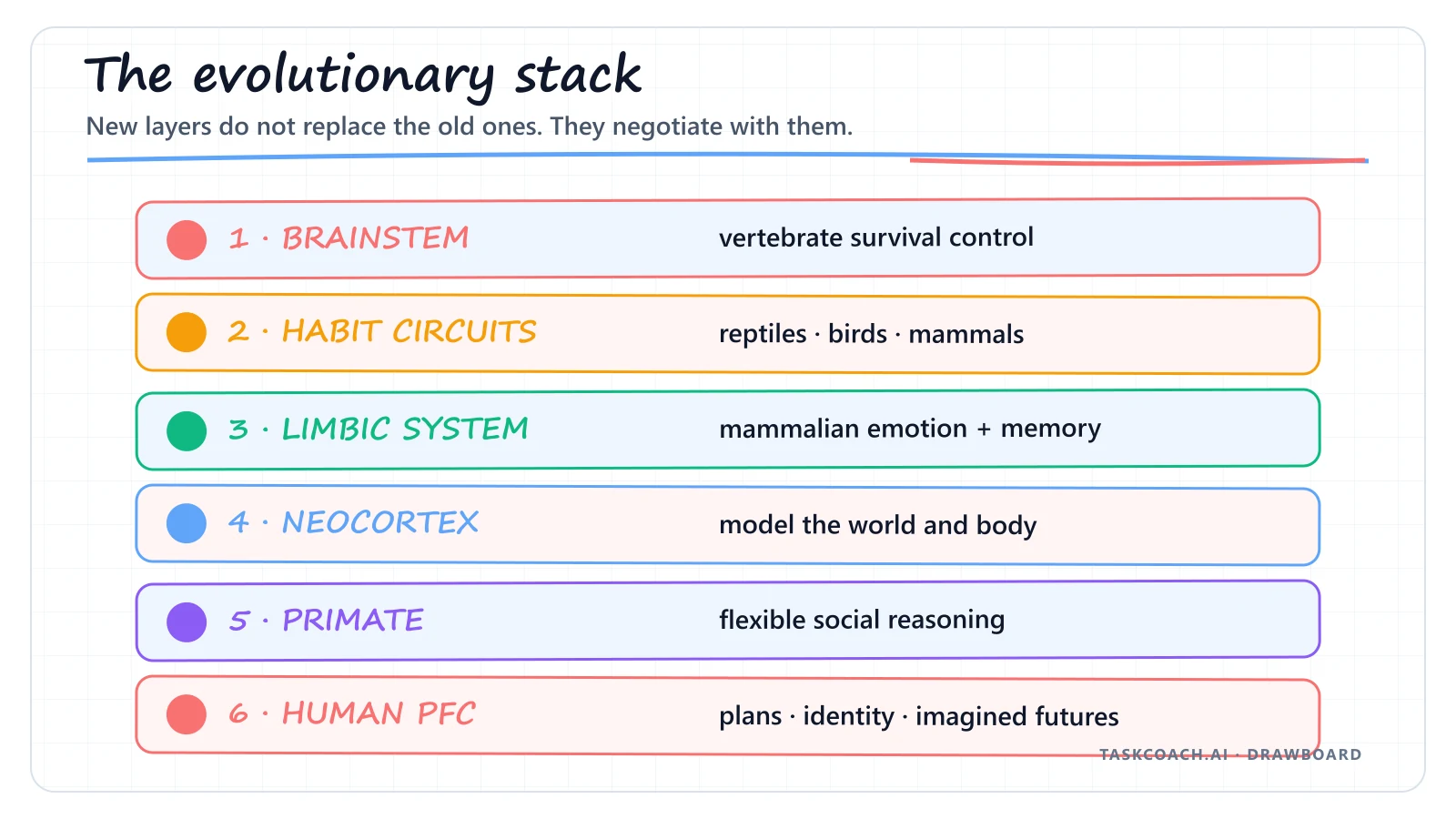 Drawboard stacking brainstem, habit circuits, mammalian emotion, cortex, primate expansion, and human self-modeling.