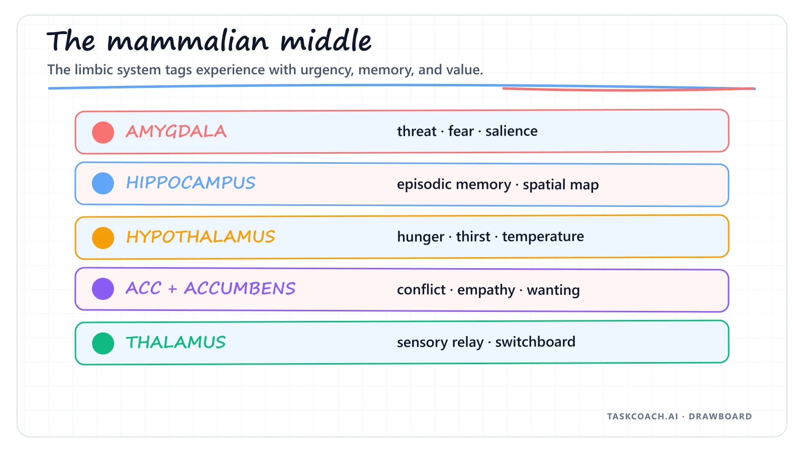 Drawboard mapping limbic regions to threat, memory, body regulation, conflict, and reward.