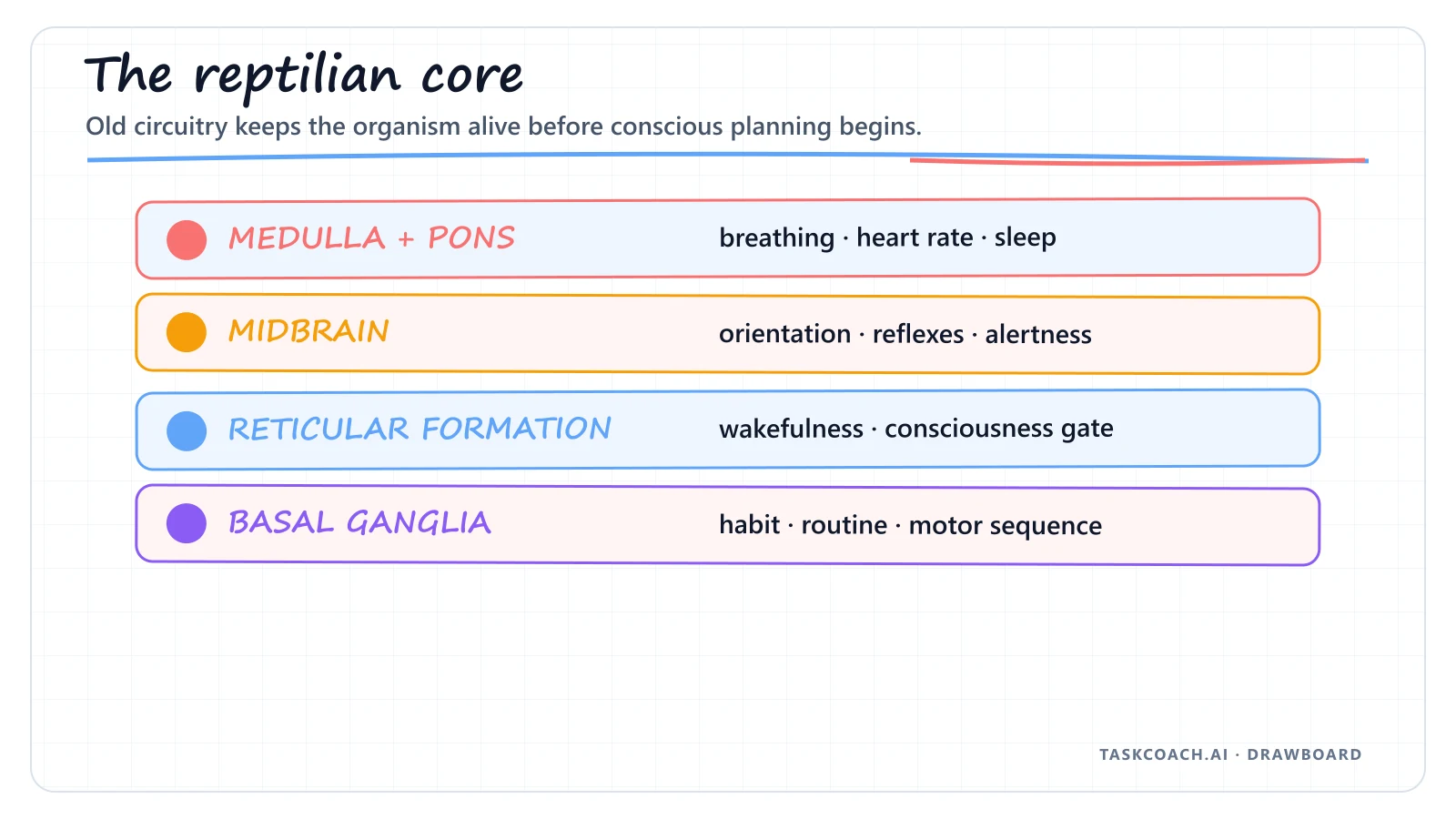 Drawboard mapping the reptilian core to automatic survival and habit functions.