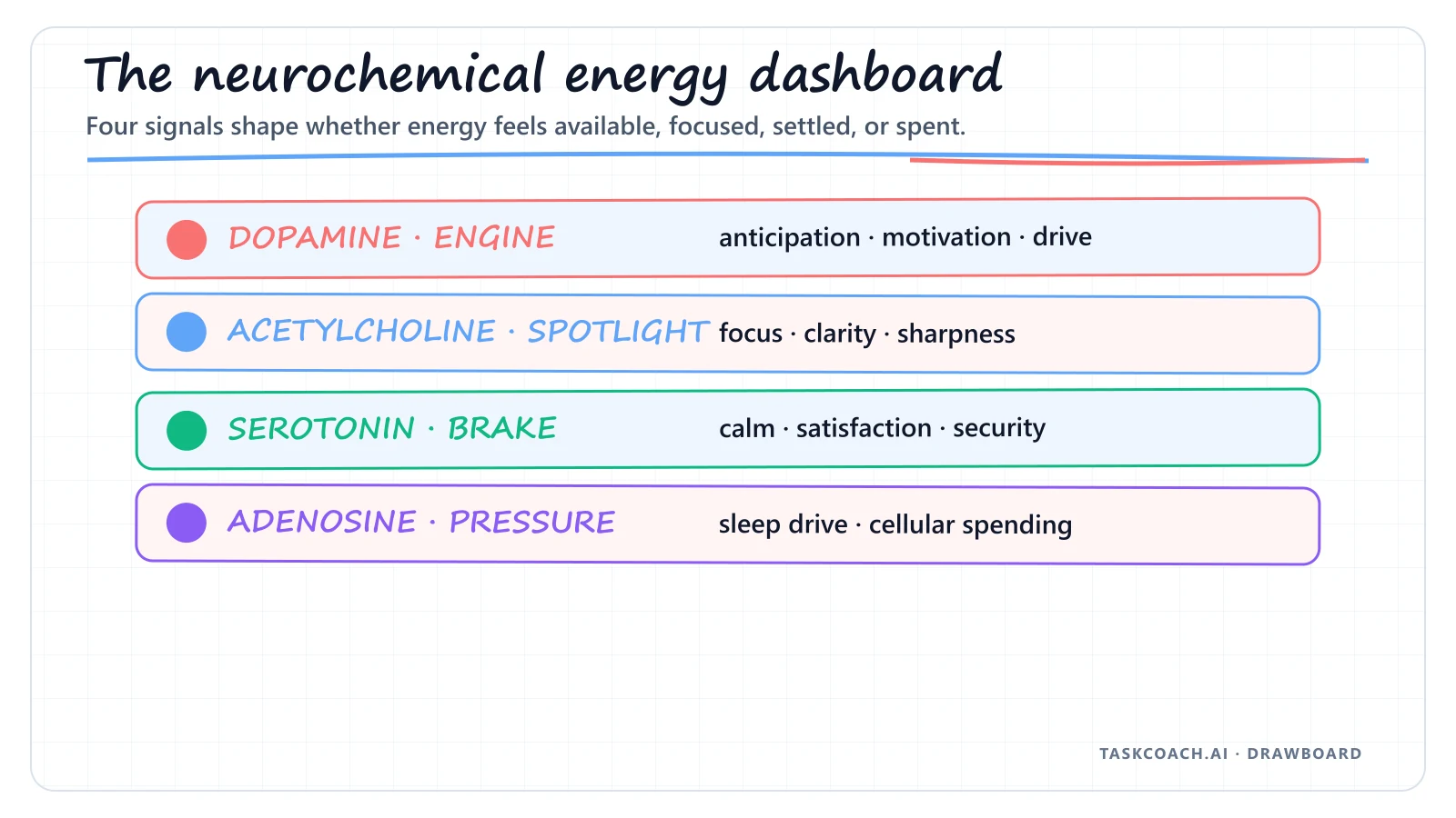 Drawboard showing dopamine, acetylcholine, serotonin, and adenosine as engine, spotlight, brake, and pressure gauge.