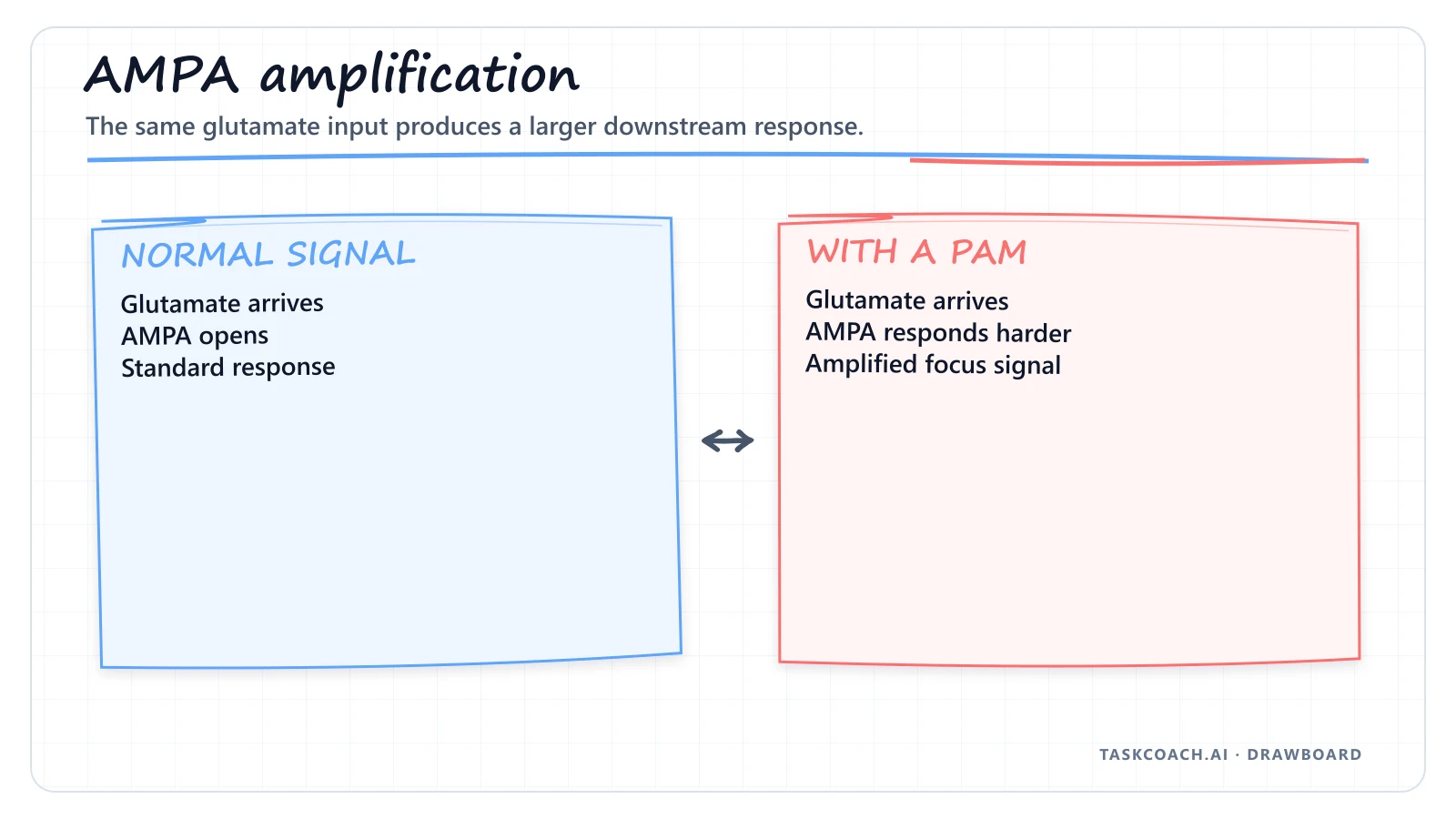 Drawboard comparing normal glutamate signaling with an amplified AMPA response.