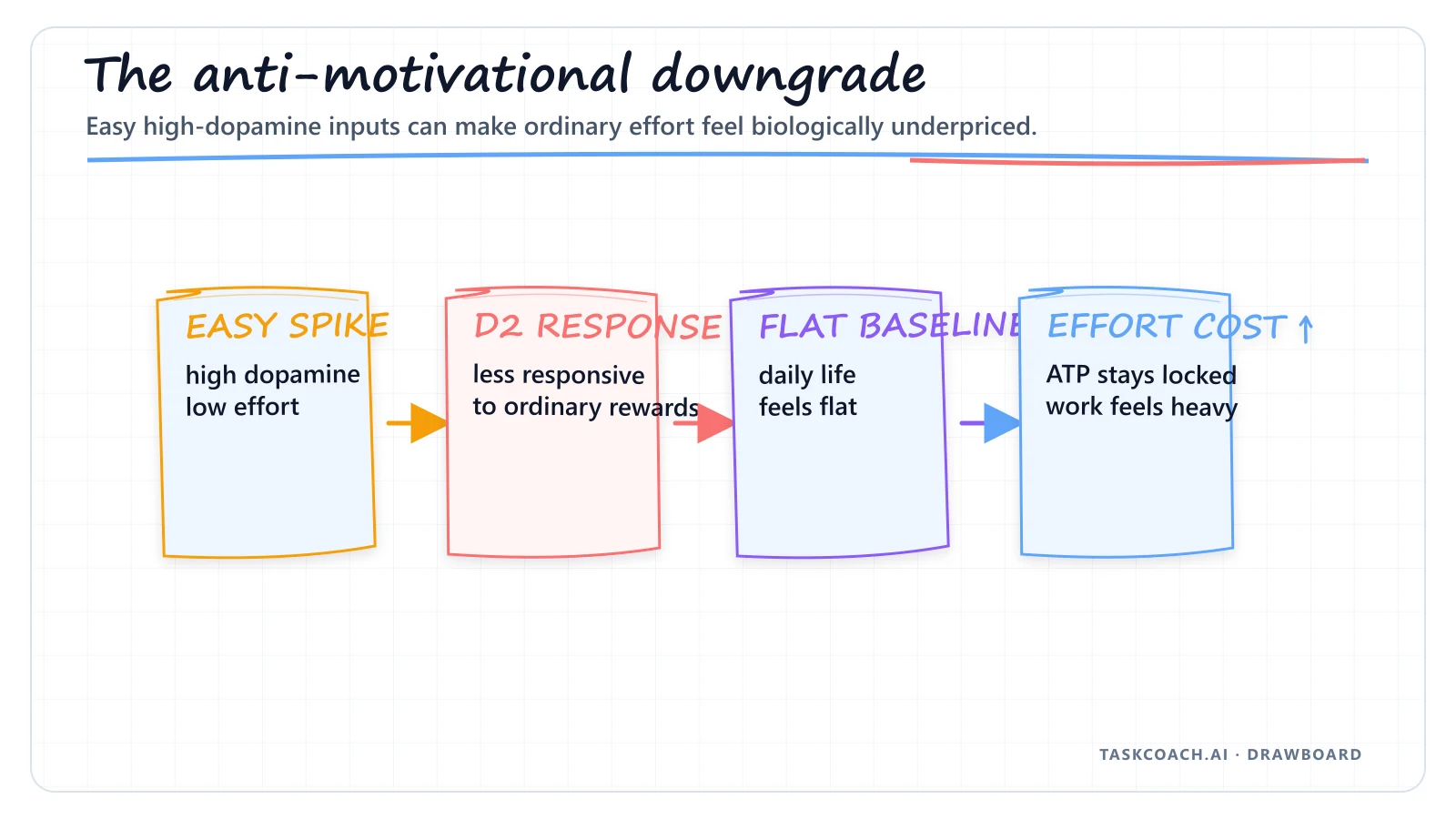 Drawboard showing low-effort dopamine inputs leading to receptor downregulation and less motivation for effortful work.