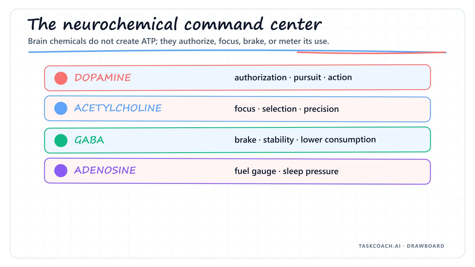 Drawboard showing dopamine, acetylcholine, GABA, and adenosine as different energy-control signals.