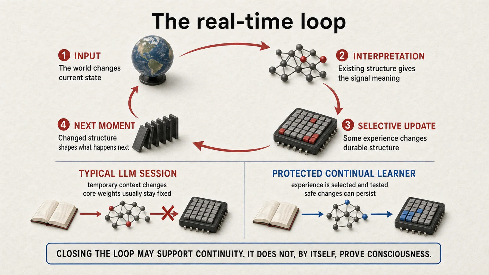 The real-time loop: input changes current state, existing structure interprets the signal, selected experience updates durable structure, and the changed structure shapes the next moment. A typical LLM session stops before lasting weight change.