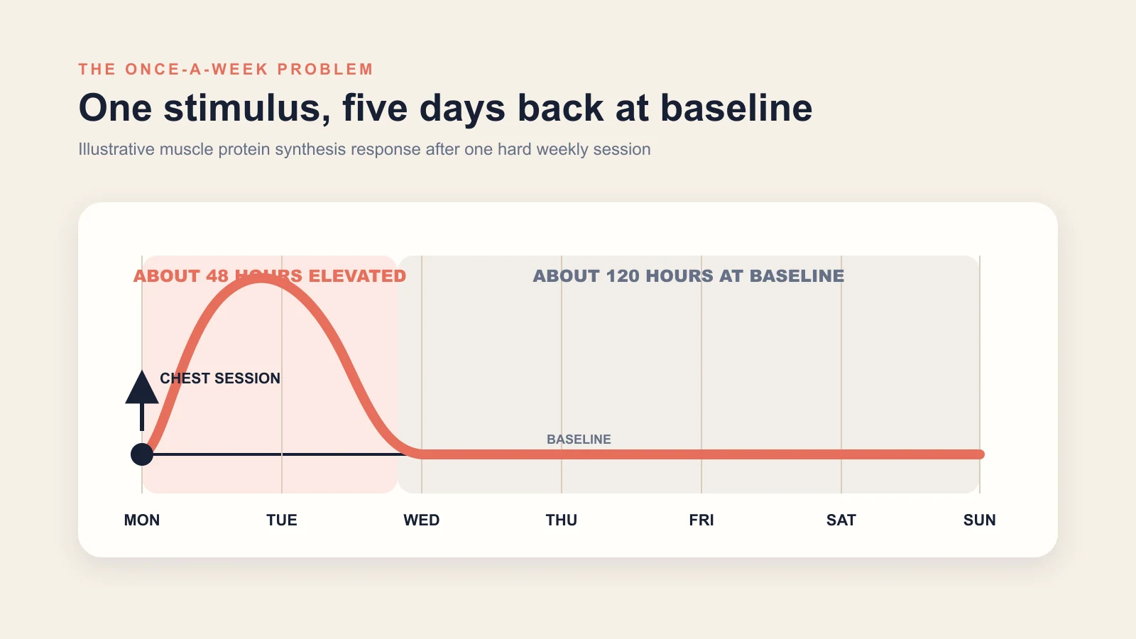 The classic "bro split" trains each muscle once per week. The session is brutal. The growth signal, for natural lifters, is suboptimal because muscle protein synthesis returns to baseline at 48 hours.