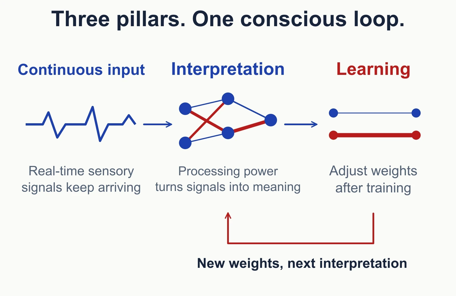 Three connected pillars: processing power interprets signals, continuous sensory input supplies a changing world, and learning after training adjusts weights. Live input feeds interpretation; experience drives learning; updated weights shape the next interpretation.