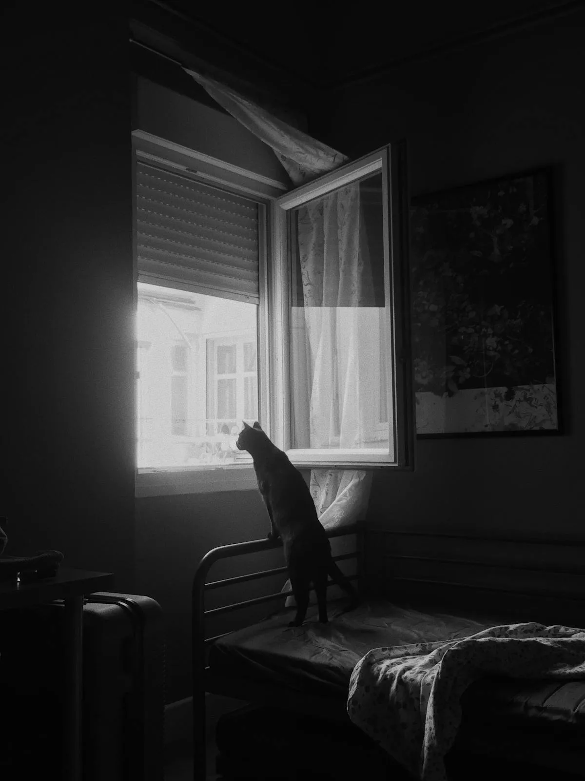 Mammals share the entire limbic system with you. The emotional life, attachment, fear, motivation, memory, is built on this layer. A cat that misses you when you leave is running the same hardware you are.