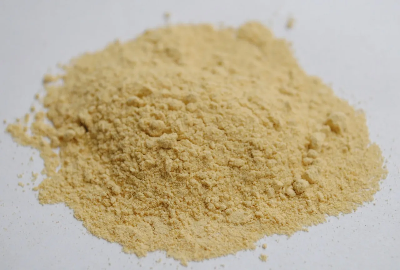 Maca root powder, the high-altitude Peruvian crop rich in macamides and macaenes.