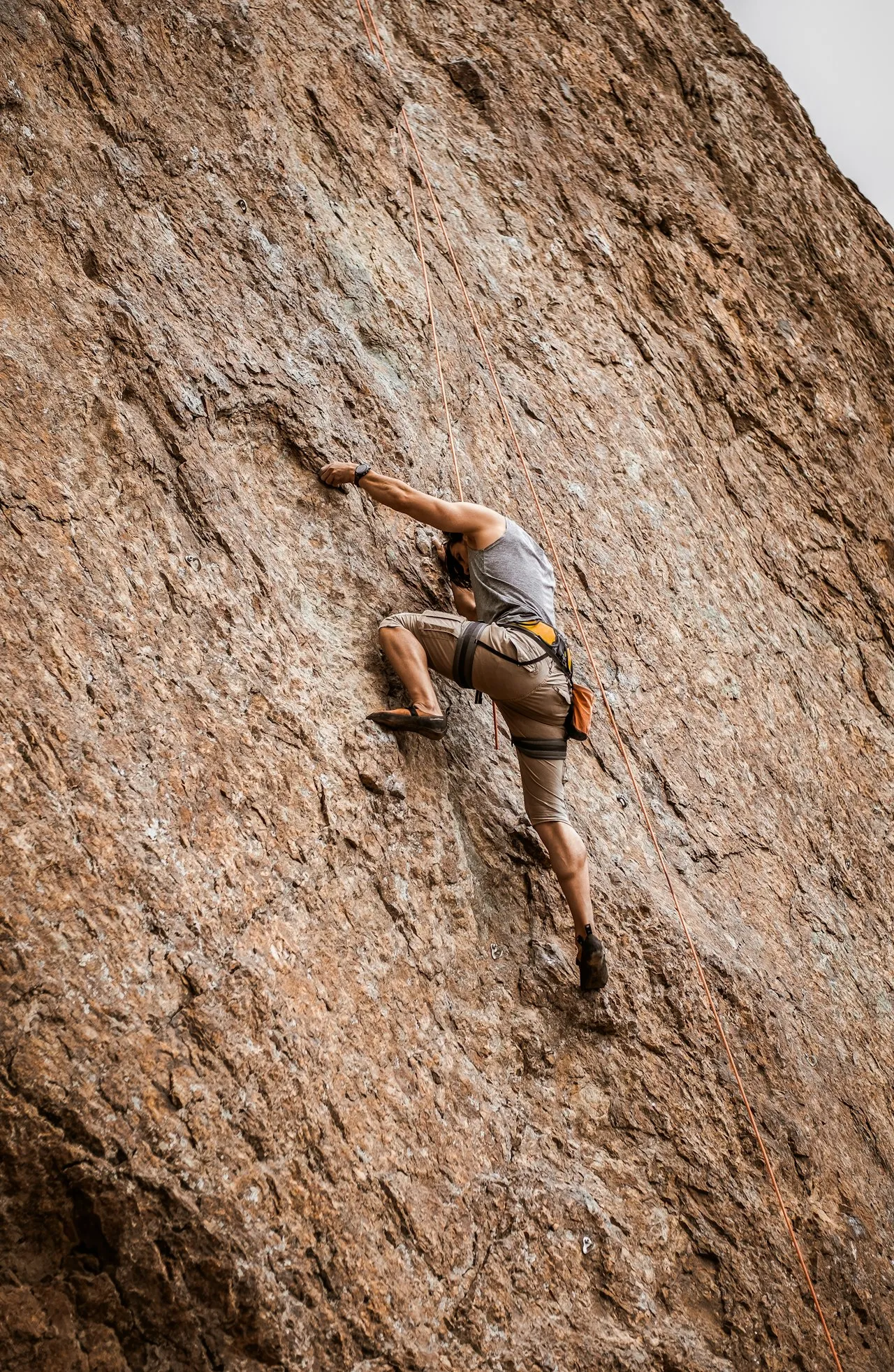 The brain did not evolve for the beach. It evolved for the climb.