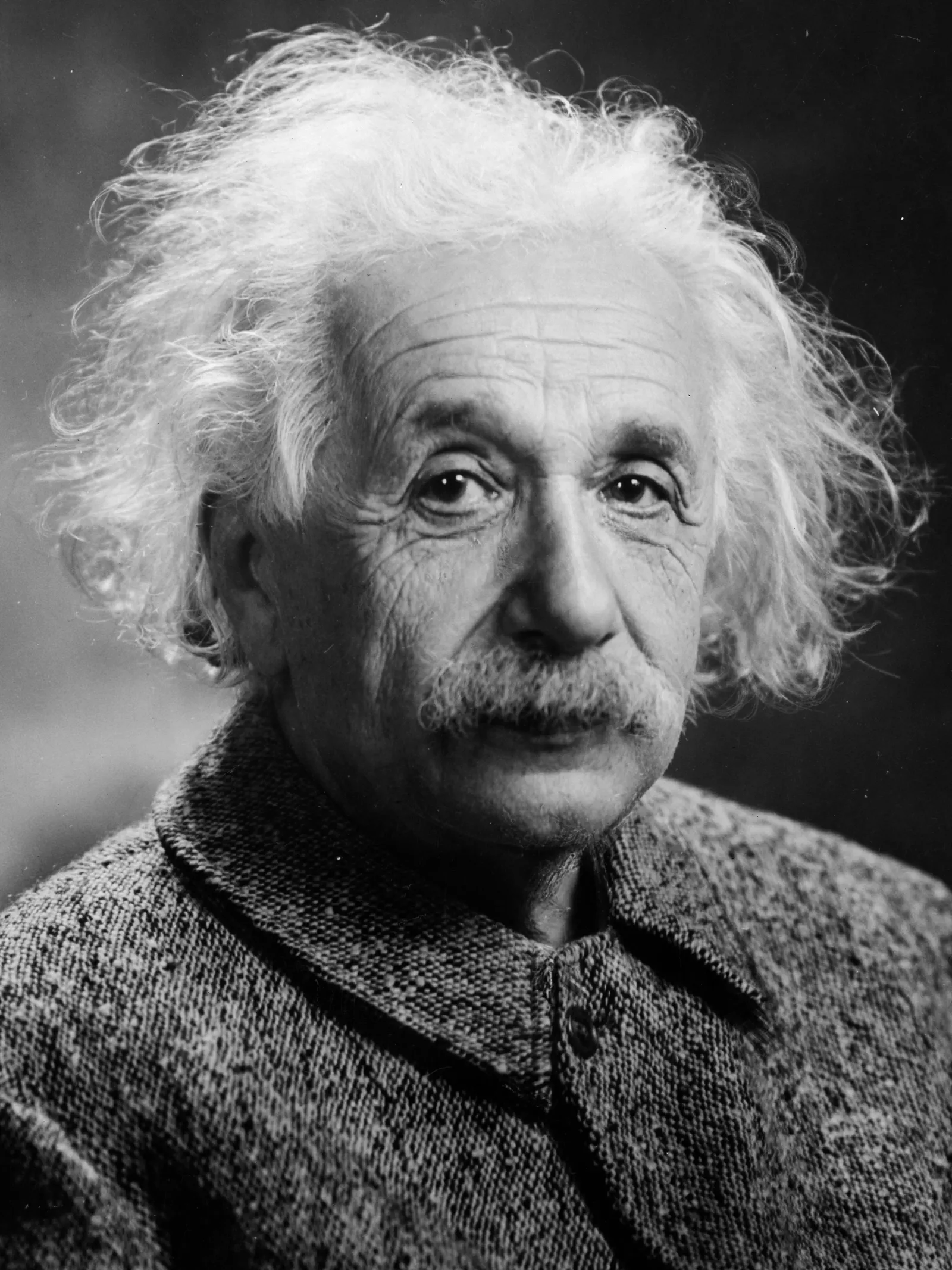 Einstein in 1947. His brain was not larger than average. What was unusual was the local density, connectivity, and the geometry of specific regions. The exact same pattern shows up in AI: capability is not raw parameter count, it is parameters arranged in the right connectivity. (Photo: Orren Jack Turner, public domain, via Wikimedia Commons)