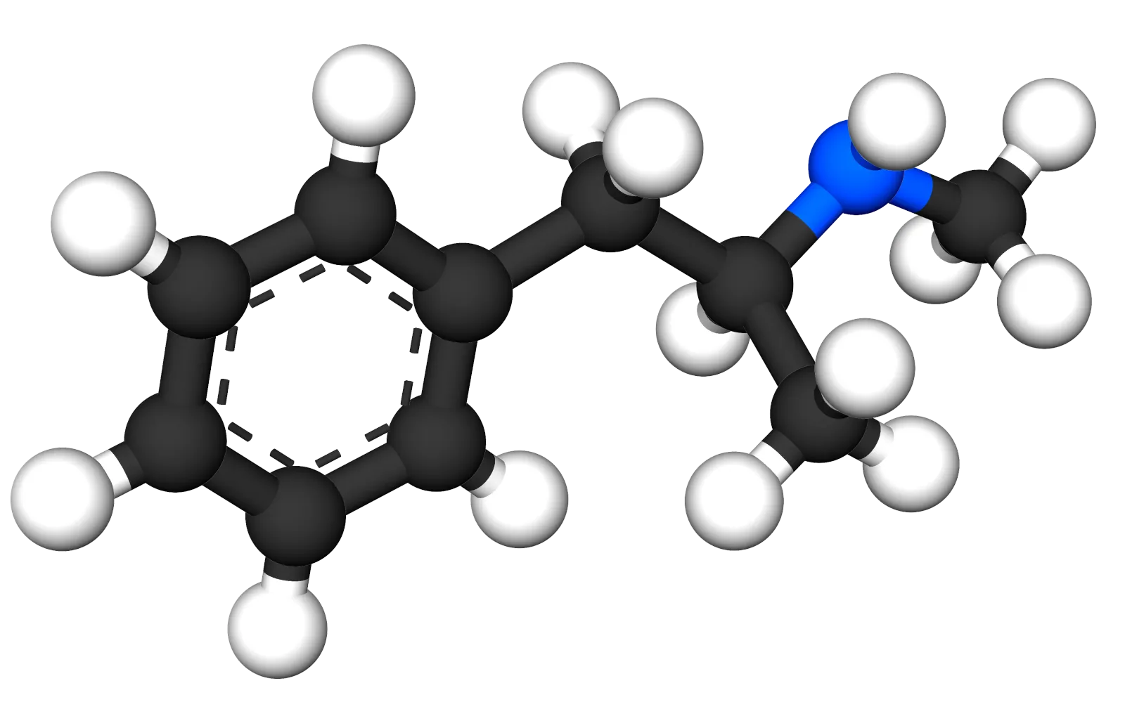 Methamphetamine, in 3D. Highly fat-soluble, small enough and non-polar enough to slip straight through cellular membranes without needing an open gate. That property is precisely what lets it invade the cell interior in ways other stimulants cannot. (Image: Jynto, public domain, via Wikimedia Commons)
